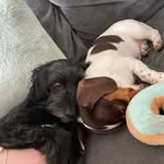 Connor Parsons - @_connor__parsons_ - Instagram