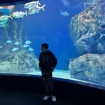 Connor Dow - @connor_patrick_dow - Instagram