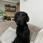 Connor Patrick - @connman12 - Instagram