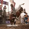 Connor Radtke - @connor_radtke1 - TikTok