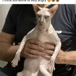 Connor Radtke - @sicko.gecko - Instagram