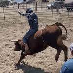 Connor Radtke - @connor_bull_rider - Instagram