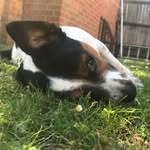 Connor Ralph - @connor_r_2534 - Instagram