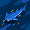 connorrawls311 - @connorrawls311 - TikTok