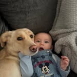 Connor-reece Rogerson - @connor_rogerson04 - Instagram