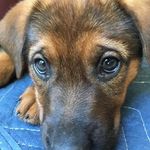 Connor Ridgeway - @connorridgeway818 - Instagram