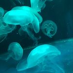 Connor Ridgeway - @connor.ridgeway.908 - Instagram