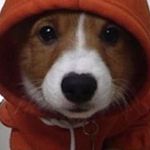 Connor Rigby - @connor_rigby1234 - Instagram