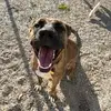 Connor Rivers - @connor.rivers - TikTok