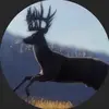 Conner Roberson - @callofthewild1234 - TikTok