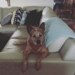 Connor Roberson - @roberson_connor - Instagram