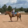 connor.roberson - @connor.roberson - TikTok