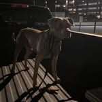 Conner Robles - @connerrobless - Instagram