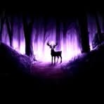 Connor Rocha - Facebook