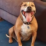 Connor Roden - @connor_roden02 - Instagram