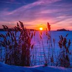 Connor Roe - Facebook