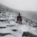 Conor Rogan - @rogey90 - Instagram