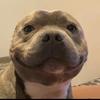 Connor Rogers - @connor.rogers23 - TikTok