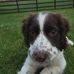 Ronan Connor - Facebook