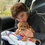 Connor Rowe - @connorrowe - Instagram