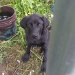 conner sage - @conner.sage - Instagram