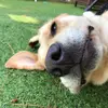 Connor - @connor.saunders1 - TikTok