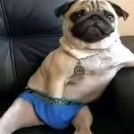 Connor Saxton - @yungweenieboiii - Instagram