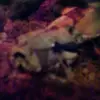 Connor J. Gotschall - @connor.gotschall_hxrmhp - TikTok