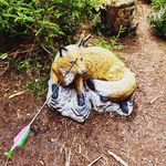 Conner Schilling - @nameless_x09 - Instagram