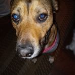 Connor Schilling - Facebook