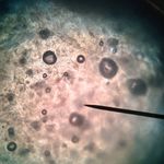 Connor Schmidt - @connorschmidt26 - Instagram