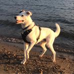 Connor Schofield - Facebook