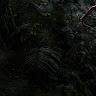 Connor Schuler765 - @31376622193 - TikTok