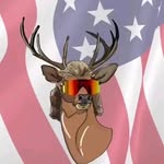 Connor Sears - @connorsears8 - Instagram