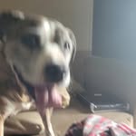 Connor Sears - @k3k1st4nm4n - Instagram