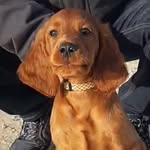 Connor - @connorosetter - Instagram