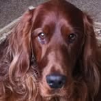 Connor Setter - Facebook