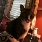 Connor shaffer - @shaffer_connor - Instagram