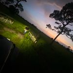 Connor Sharp - @connorsharp81 - Instagram