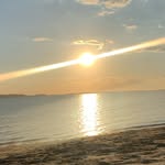 Connor Shepherd - @connor.shepherd.75 - Instagram