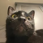 Connor Shoemaker - @shoe812 - Instagram