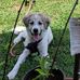 Connor Shoemaker - Facebook