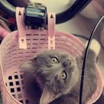 connor - @connor_shore12345 - Instagram