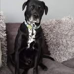 Connor - @connor_shore123 - Instagram