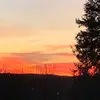 Connor Ansinger - @connor.ansinger_lifting - TikTok