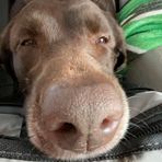 Connor Sipe - Facebook