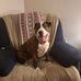 Conner Sisco - Facebook