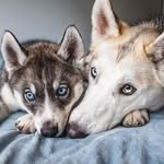Connor - @connor_sly_dog - Instagram