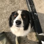 Slyvie O Connor - Facebook
