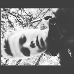 connor - @connor_smiley - Instagram